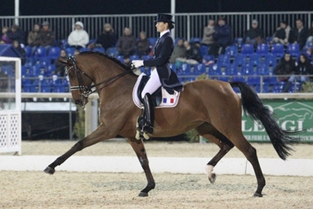 centre 233 questre du centaure equitation classique centre 233 questre du centaure equitation classique